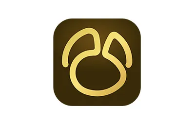 Navicat Premium v17.2.9 中文破解版 Mac强大的数据库管理工具