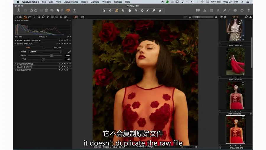 PROEDU 完整Capture One照片编辑软件入门课程 中英字幕 - 3 PROEDU 完整Capture One照片编辑软件入门课程 中英字幕