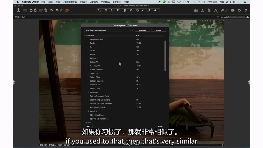 PROEDU 完整Capture One照片编辑软件入门课程 中英字幕 - 2 PROEDU 完整Capture One照片编辑软件入门课程 中英字幕