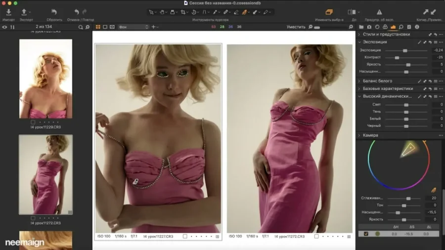 修图师 Sofia Karaivanskaya 完整 Capture One 色彩编辑课程 中文字幕 - 2 修图师 Sofia Karaivanskaya 完整 Capture One 色彩编辑课程 中文字幕