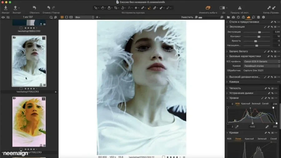 修图师 Sofia Karaivanskaya 完整 Capture One 色彩编辑课程 中文字幕 - 6 修图师 Sofia Karaivanskaya 完整 Capture One 色彩编辑课程 中文字幕