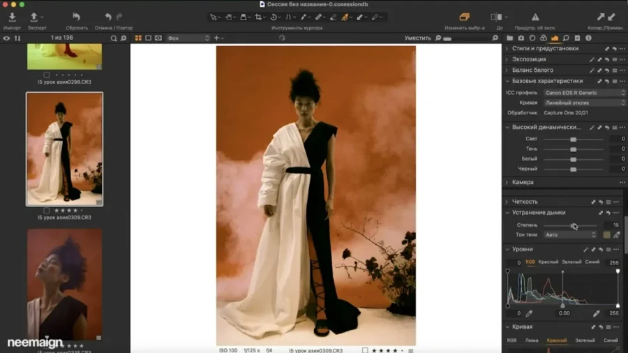修图师 Sofia Karaivanskaya 完整 Capture One 色彩编辑课程 中文字幕 - 7 修图师 Sofia Karaivanskaya 完整 Capture One 色彩编辑课程 中文字幕