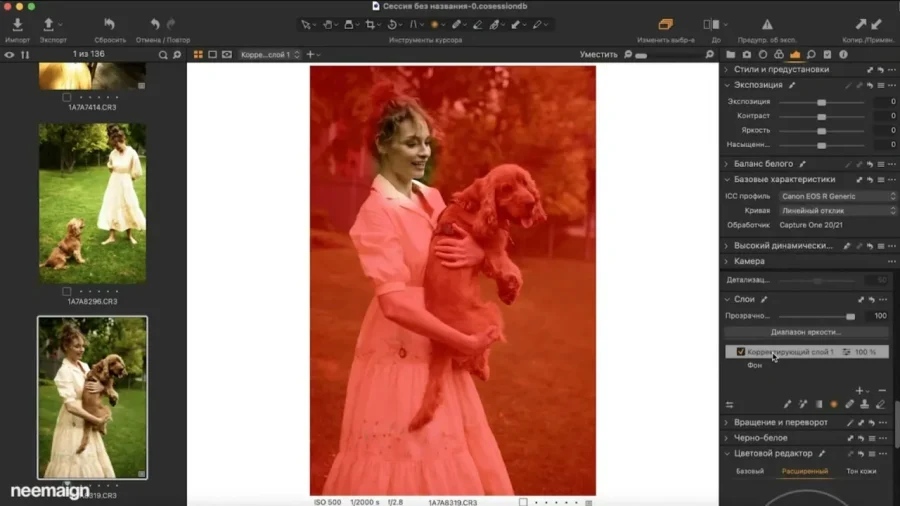 修图师 Sofia Karaivanskaya 完整 Capture One 色彩编辑课程 中文字幕 - 8 修图师 Sofia Karaivanskaya 完整 Capture One 色彩编辑课程 中文字幕