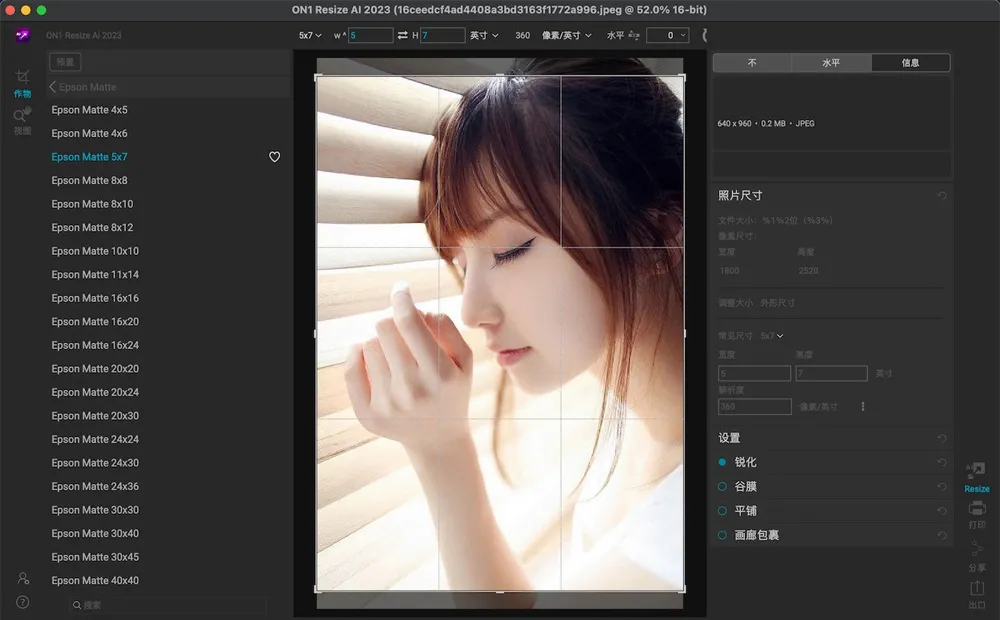 智能AI照片无损放大软件/PS插件 ON1 Resize AI 2023.5（17.5.1.14028）Win/Mac中文版