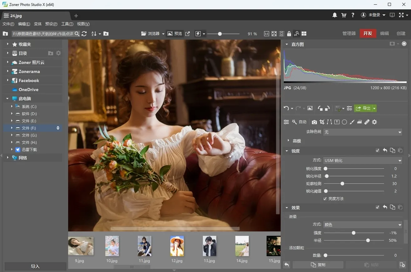 Zoner Photo Studio X v19.2503.2.621多国语言版 照片管理摄影调色滤镜创意设计编辑软件 WIN64版本下载
