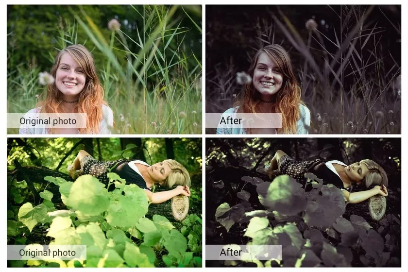 电影人像紫色调LR预设APP预设PS动作LUT预设支持AE/PR/FCPX/达芬奇  Deep Forest Lightroom Presets