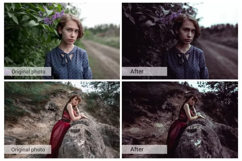 电影人像紫色调LR预设APP预设PS动作LUT预设支持AE/PR/FCPX/达芬奇  Deep Forest Lightroom Presets