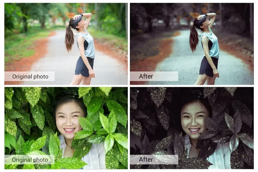 电影人像紫色调LR预设APP预设PS动作LUT预设支持AE/PR/FCPX/达芬奇  Deep Forest Lightroom Presets