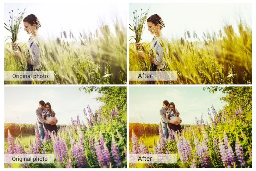 你好阳光-明黄调花海人像写真Lightroom预设APP滤镜/Vlog视频调色LUT预设 Hello Sunshine Lightroom Presets