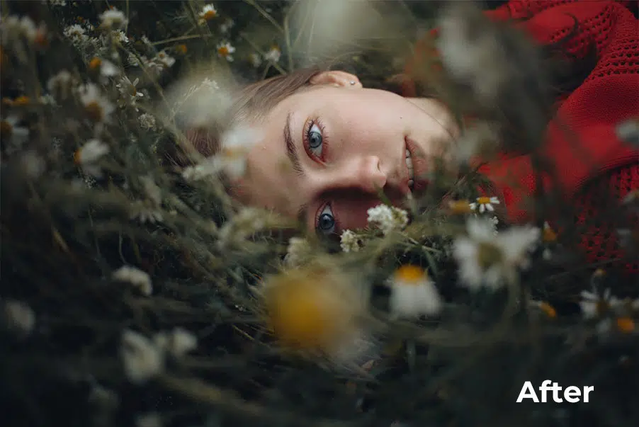 Dmitriy Rogozhkin创意婚礼电影人像艺术Lightroom预设3套合集 Dimitry Rogozhkin Creative Presets Collection