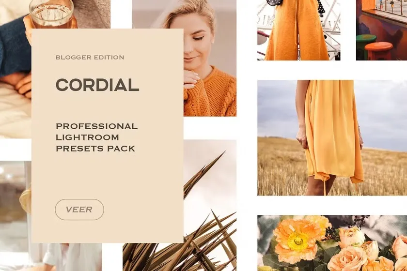 20套莫兰迪灰色调LR预设/移动APP滤镜合集 Lightroom预设 Presets Lightroom Bundle Mobile