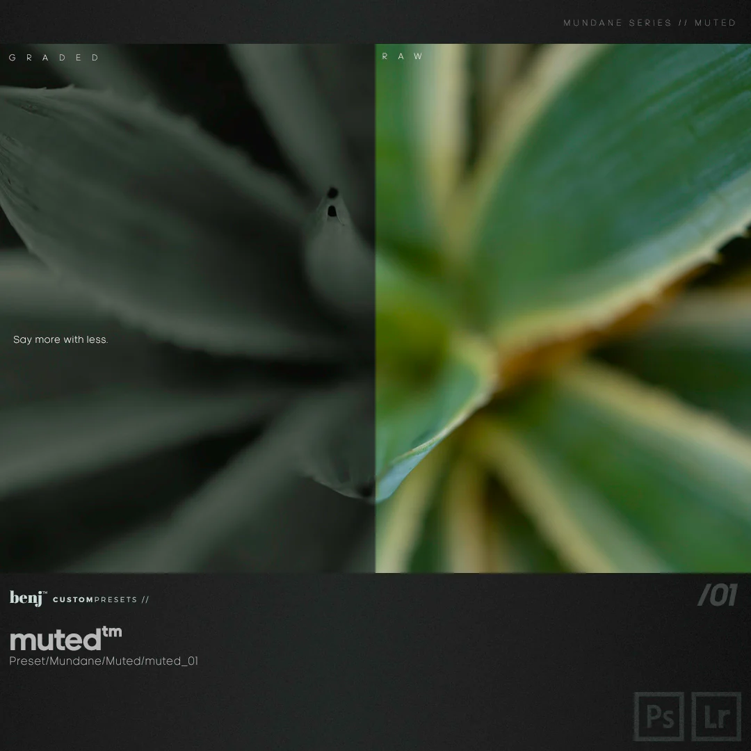日系城市街拍暗调电影LR预设套装/APP预设 benj Presets Bundle