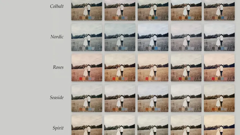 大地色调电影胶片色调Lightroom预设及社交媒体短视频LUT预设 25 Earthy Tones Lightroom Presets and LUTs