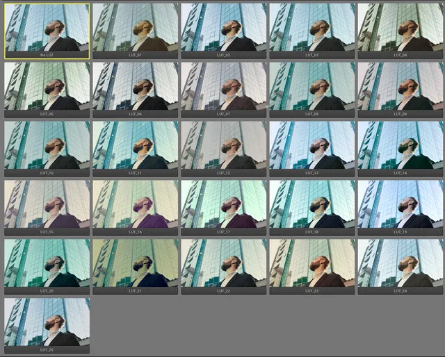 25种电影调色LUTs预设与30种漏光光效+3组胶片颗粒视频素材 Complete Film Emulation Bundle