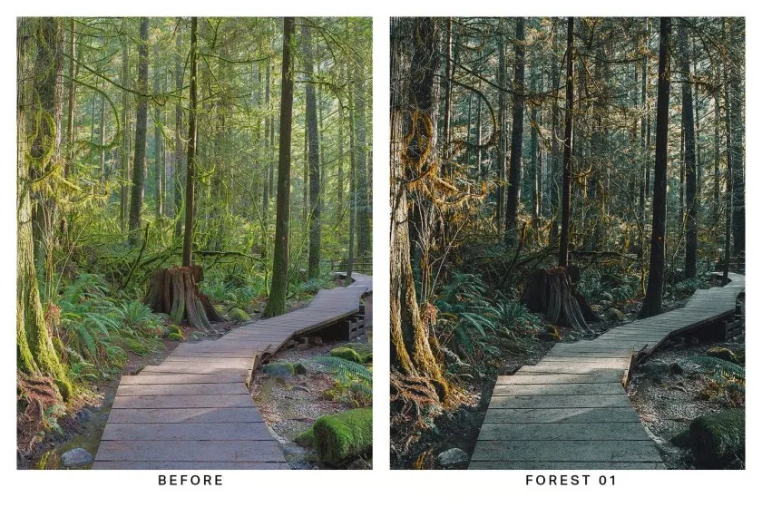 20个INS旅行人文风光后期调色Lightroom预设及视频调色LUT预设 Travel Influencer Starter Kit – 20 Lightroom Presets and LUTs