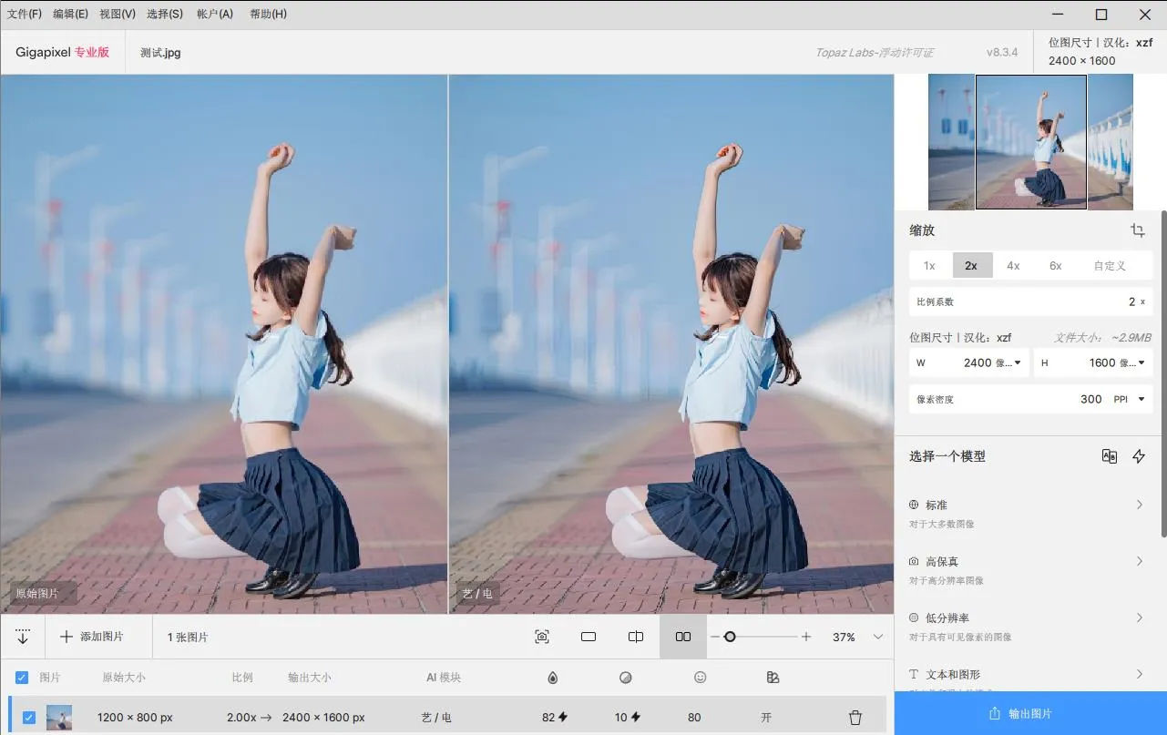 Topaz Gigapixel AI 8.3.4 汉化版 人工智能图像无损放大软件/PS插件 Win/Mac中文版下载