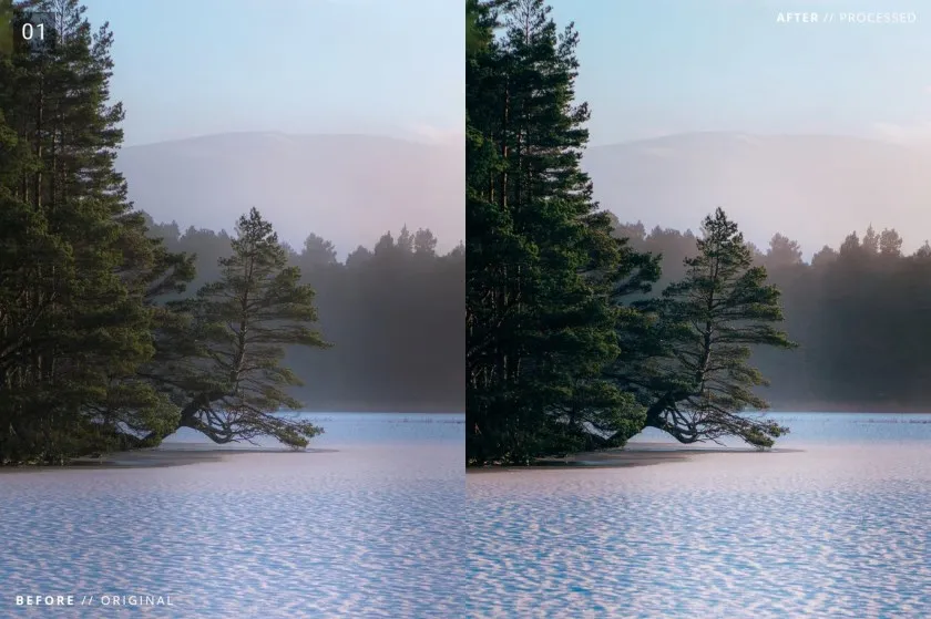 旅行风光电影胶片Lightroom预设与移动LR预设 8 Landscape Pro Lightroom + Mobile