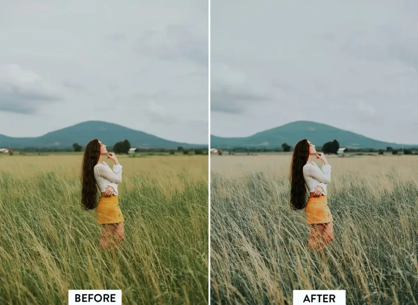 森系黑暗电影胶片情绪人像Lightroom预设与移动LR预设Camera Raw预设 10 Evergreen Lightroom Presets