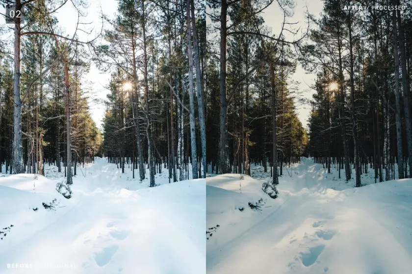旅行风光电影胶片Lightroom预设与移动LR预设 8 Landscape Pro Lightroom + Mobile