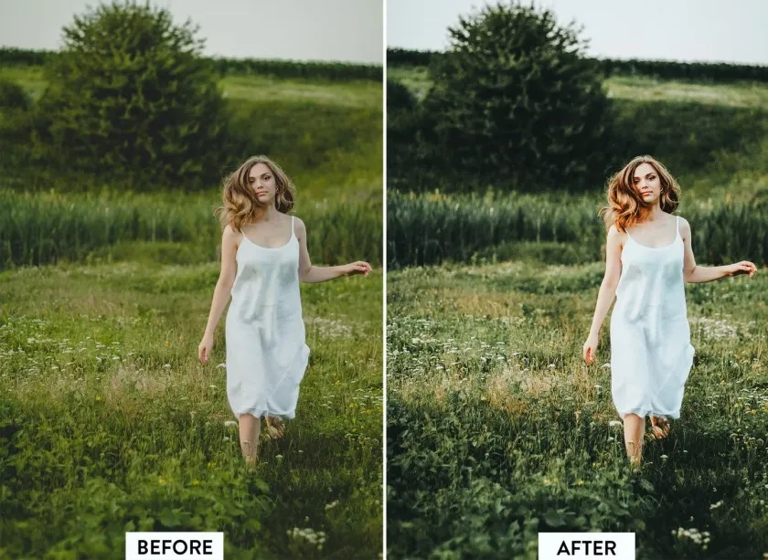 森系黑暗电影胶片情绪人像Lightroom预设与移动LR预设Camera Raw预设 10 Evergreen Lightroom Presets