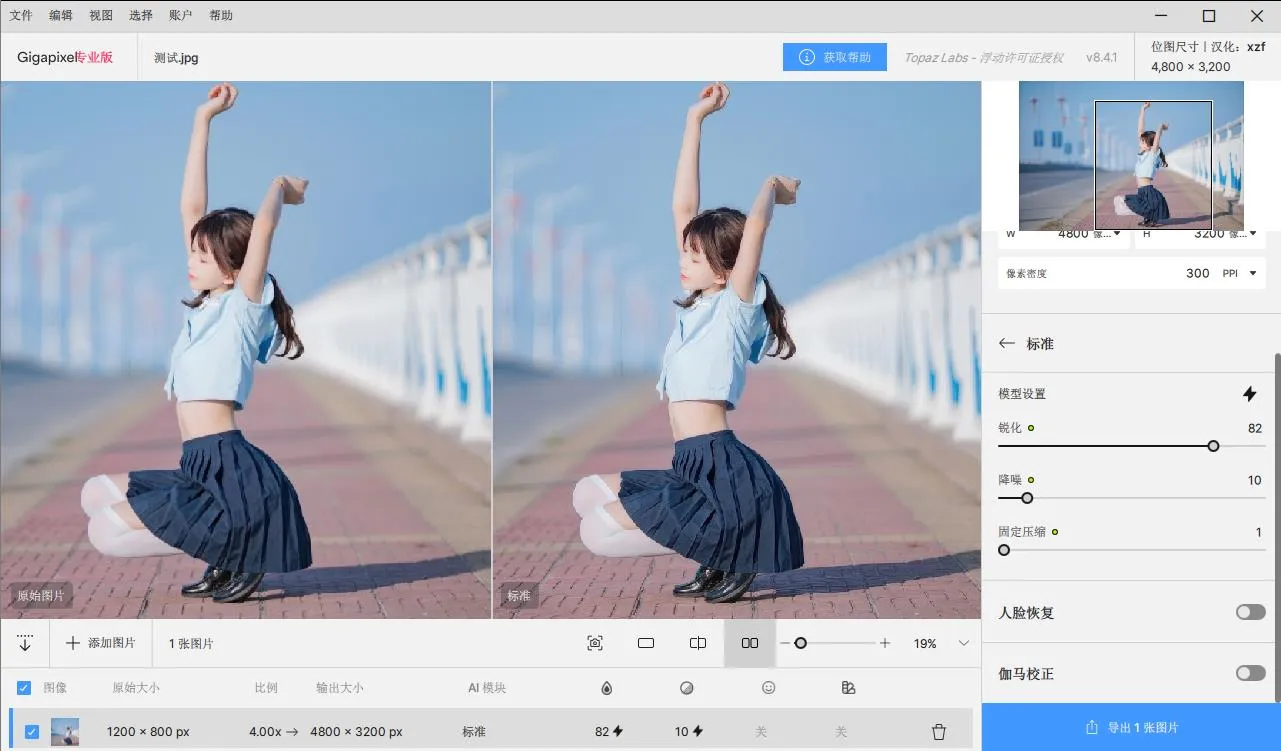 Topaz Gigapixel AI 8.4.1 汉化版 人工智能图像无损放大软件/PS插件 Win/Mac中文版下载